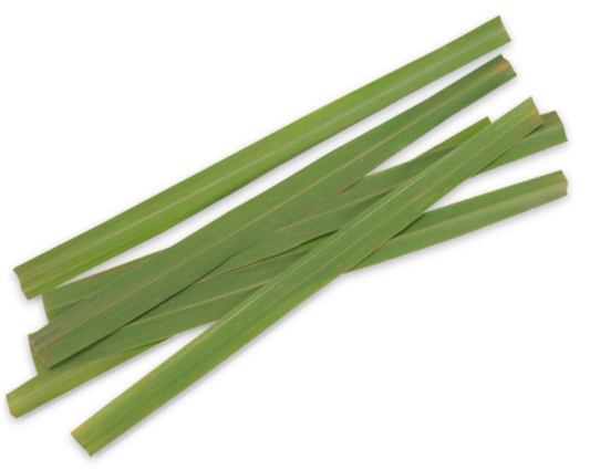 Lemongrass Essential Oil
