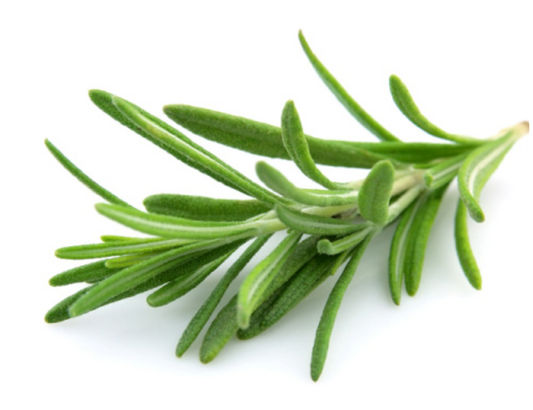 Rosemary Essential Oil