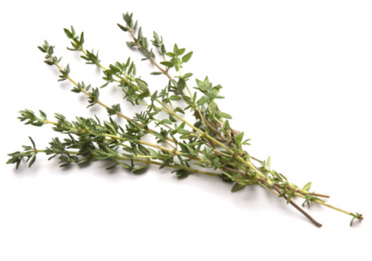 Thyme Essential Oil