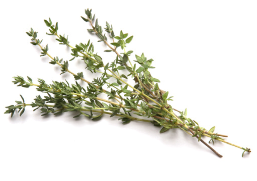 Thyme Essential Oil